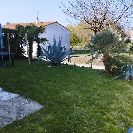 Apartment Superbe 2 Pieces - Centre